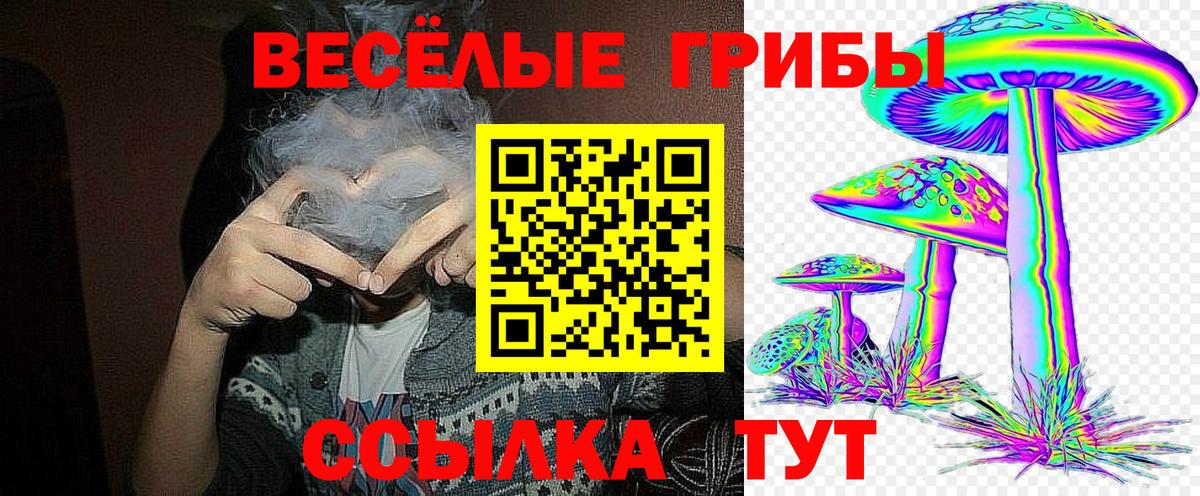 Галлюциногенные грибы Psilocybine cubensis Рыбинск