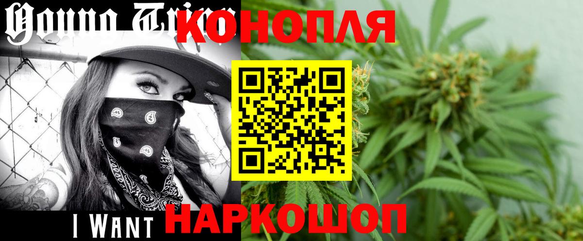 Марихуана семена Рыбинск